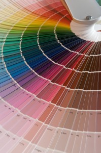 color palette