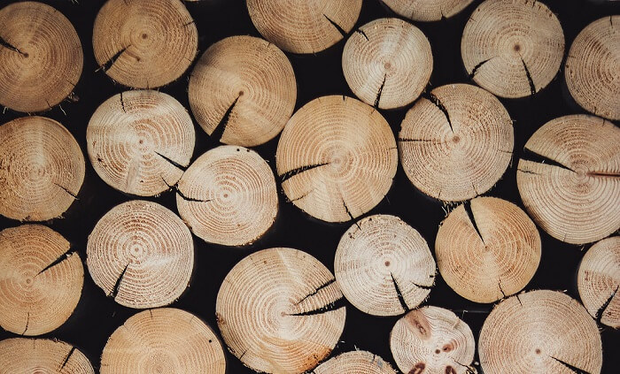 Wood Type