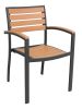 AL-5602 Outdoor Arm Chair - Black Frame/Teak
