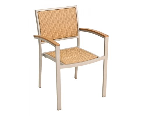 AL-5625 Silver Frame - Arm Chair