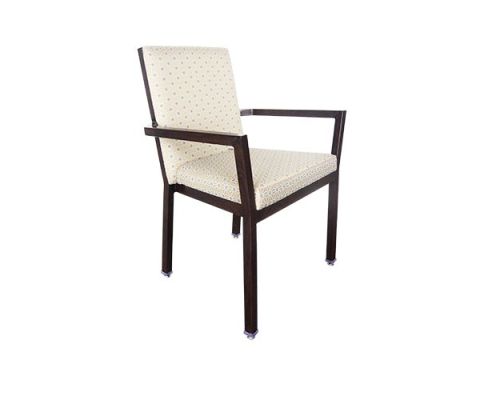 Carmine Assisted Living Chair - Side View