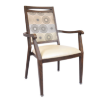 ADA CA-3881 Assisted Living Arm Chair