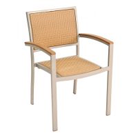 AL-5625 Silver Frame - Arm Chair