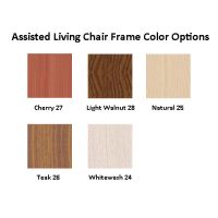 Carmine Assisted Living Chair Frame Color Options