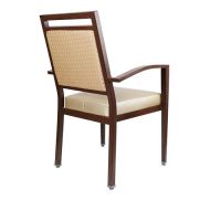 North Assisted Living Chair - Rear View